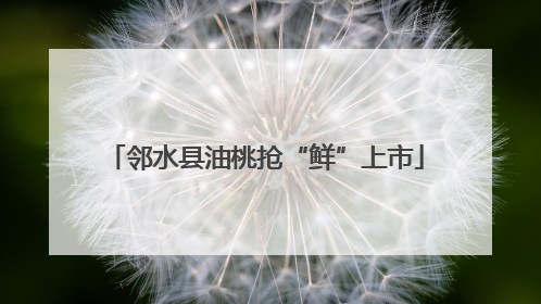 邻水县油桃抢“鲜”上市