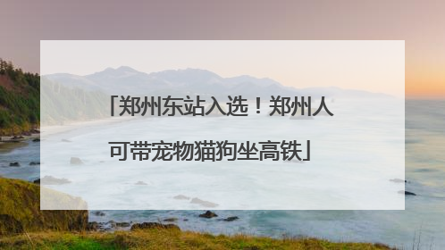 郑州东站入选！郑州人可带宠物猫狗坐高铁