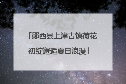 郧西县上津古镇荷花初绽邂逅夏日浪漫