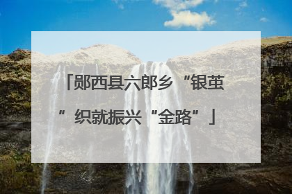 郧西县六郎乡“银茧”织就振兴“金路”