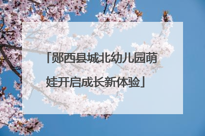 郧西县城北幼儿园萌娃开启成长新体验
