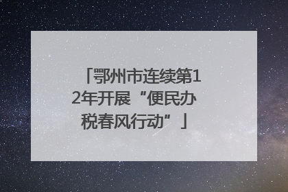 鄂州市连续第12年开展“便民办税春风行动”