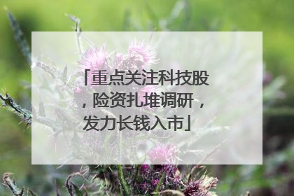 重点关注科技股，险资扎堆调研，发力长钱入市