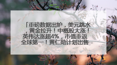 重磅数据出炉，美元跳水，黄金拉升！中概股大涨！英伟达涨超4%，市值重返全球第一！黄仁勋计划出售至多600万股股票