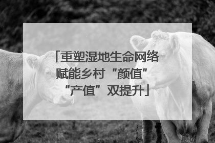 重塑湿地生命网络 赋能乡村“颜值”“产值”双提升