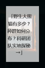 野生大熊猫有多少？种群如何分布？科研团队实地探秘→