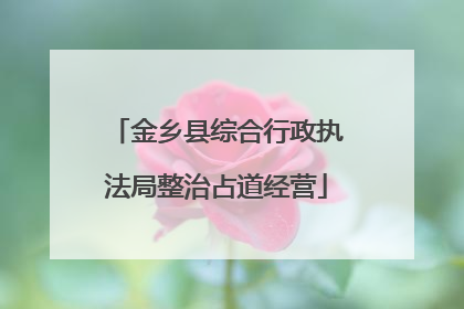 金乡县综合行政执法局整治占道经营