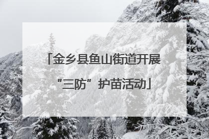 金乡县鱼山街道开展“三防”护苗活动