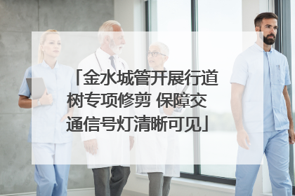 金水城管开展行道树专项修剪 保障交通信号灯清晰可见