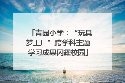 青园小学：“玩具梦工厂”跨学科主题学习成果闪耀校园