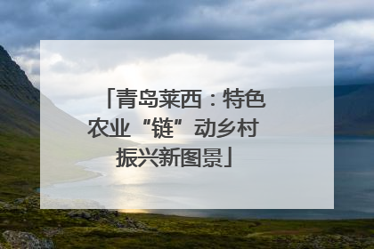 青岛莱西：特色农业“链”动乡村振兴新图景