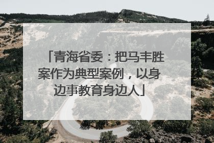 青海省委：把马丰胜案作为典型案例，以身边事教育身边人