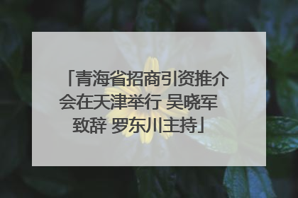 青海省招商引资推介会在天津举行 吴晓军致辞 罗东川主持