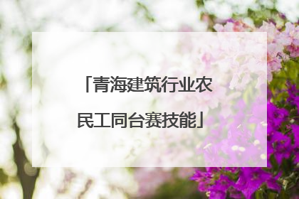 青海建筑行业农民工同台赛技能