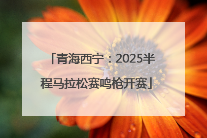 青海西宁：2025半程马拉松赛鸣枪开赛