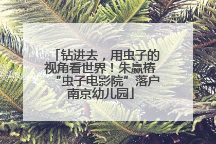 钻进去，用虫子的视角看世界！朱赢椿“虫子电影院”落户南京幼儿园