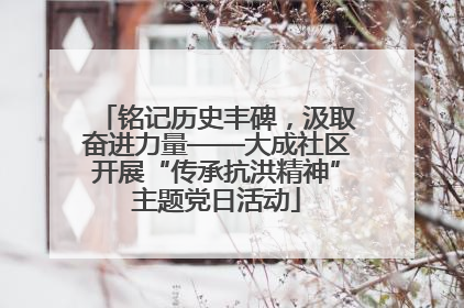 铭记历史丰碑，汲取奋进力量——大成社区开展“传承抗洪精神”主题党日活动