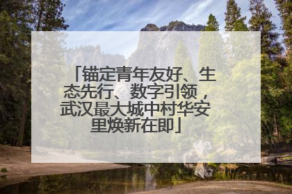 锚定青年友好、生态先行、数字引领，武汉最大城中村华安里焕新在即