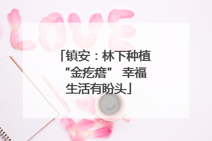 镇安：林下种植“金疙瘩” 幸福生活有盼头
