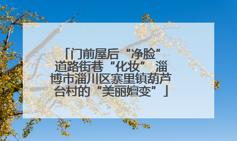 门前屋后“净脸” 道路街巷“化妆” 淄博市淄川区寨里镇葫芦台村的“美丽嬗变”