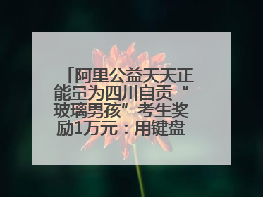 阿里公益天天正能量为四川自贡“玻璃男孩”考生奖励1万元：用键盘继续书写不设限的人生