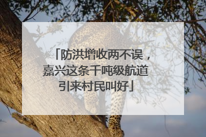 防洪增收两不误，嘉兴这条千吨级航道引来村民叫好