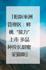 阳新率洲管理区：鲜桃“接力”上市 多品种拉长甜蜜采摘期