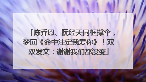 陈乔恩、阮经天同框撑伞，梦回《命中注定我爱你》！双双发文：谢谢我们都没变