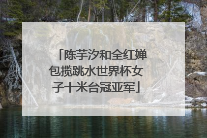 陈芋汐和全红婵包揽跳水世界杯女子十米台冠亚军