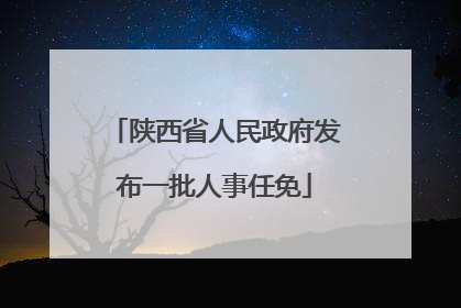 陕西省人民政府发布一批人事任免