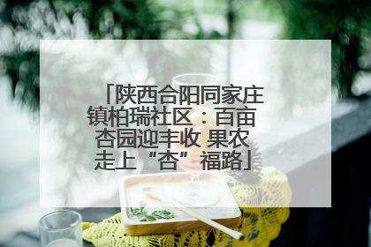 陕西合阳同家庄镇柏瑞社区：百亩杏园迎丰收 果农走上“杏”福路