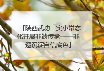 陕西武功二实小常态化开展非遗传承——非遗沉淀自信底色