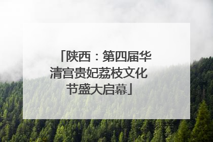 陕西：第四届华清宫贵妃荔枝文化节盛大启幕