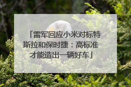 雷军回应小米对标特斯拉和保时捷：高标准才能造出一辆好车