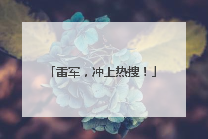 雷军，冲上热搜！