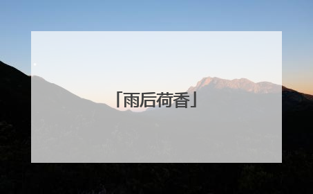 雨后荷香