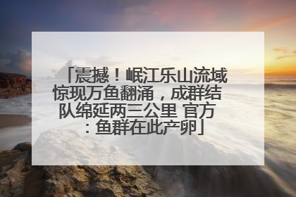 震撼！岷江乐山流域惊现万鱼翻涌，成群结队绵延两三公里 官方：鱼群在此产卵