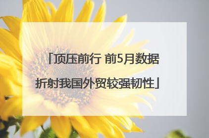 顶压前行 前5月数据折射我国外贸较强韧性
