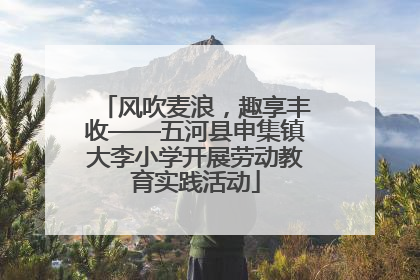 风吹麦浪，趣享丰收——五河县申集镇大李小学开展劳动教育实践活动