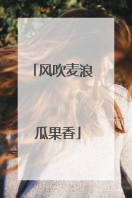 风吹麦浪 瓜果香