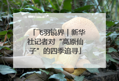 飞羽镜界｜新华社记者对“高原仙子”的四季追寻