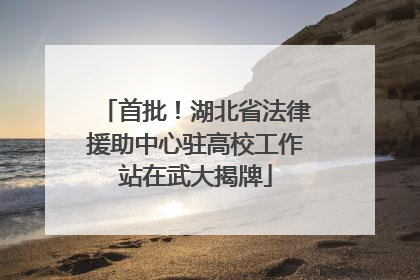 首批！湖北省法律援助中心驻高校工作站在武大揭牌