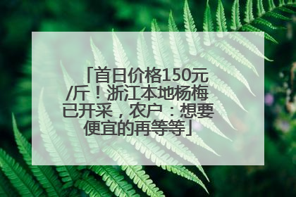 首日价格150元/斤！浙江本地杨梅已开采，农户：想要便宜的再等等