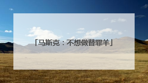 马斯克：不想做替罪羊