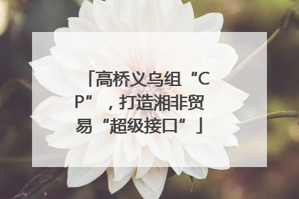高桥义乌组“CP”，打造湘非贸易“超级接口”