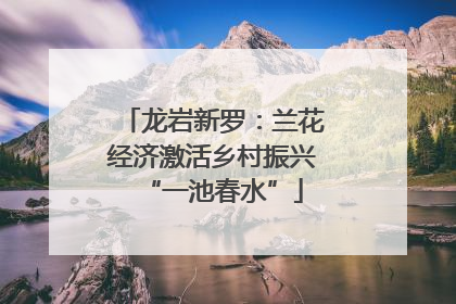 龙岩新罗：兰花经济激活乡村振兴“一池春水”