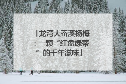 龙湾大岙溪杨梅：一颗“红盘绿蒂”的千年滋味