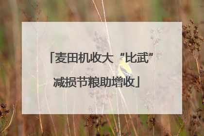 麦田机收大“比武” 减损节粮助增收