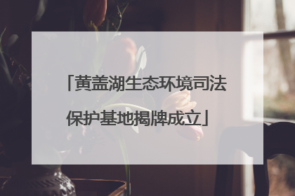 黄盖湖生态环境司法保护基地揭牌成立