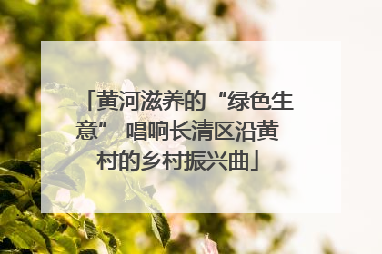 黄河滋养的“绿色生意” 唱响长清区沿黄村的乡村振兴曲